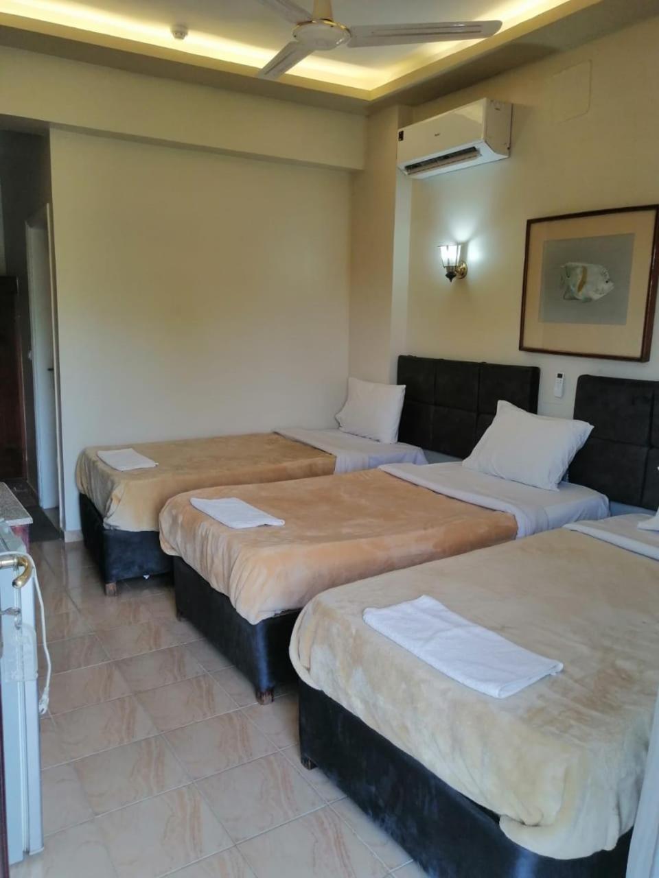Rezeiky Hotel&Camp Luxor Exterior foto